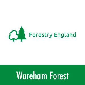 Wareham Forest logo